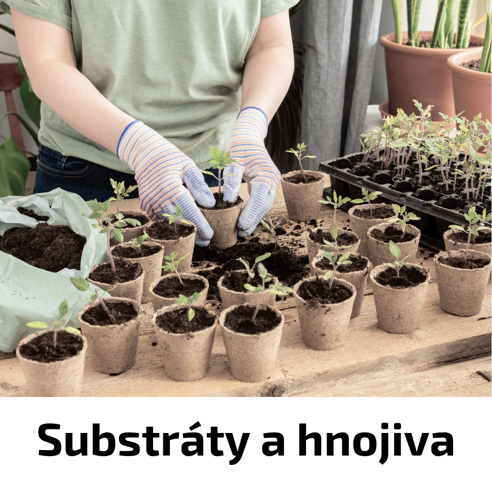 Pokojovky ze severu (1)